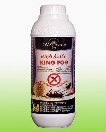 King Foog