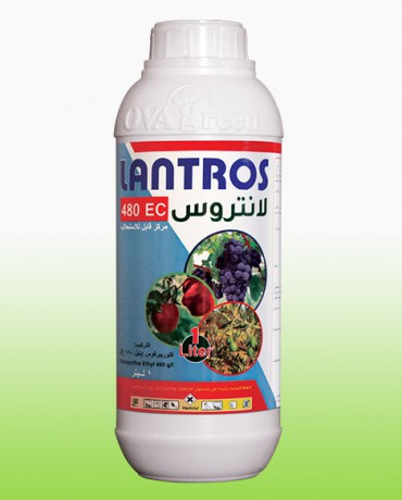 Lantrus - 480 EC
