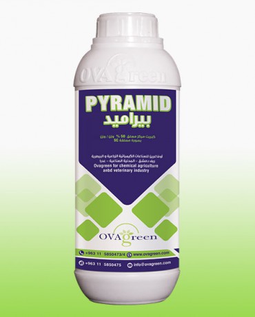 Pyramide