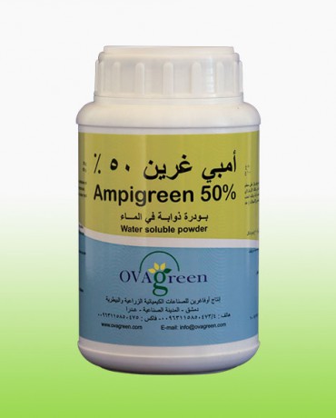 Ambey Green 50%