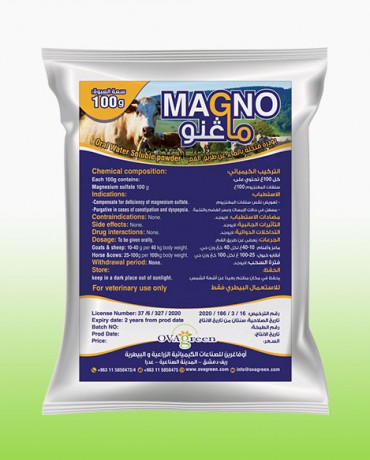 Magno