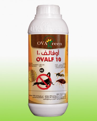 Ovalv10 Ec